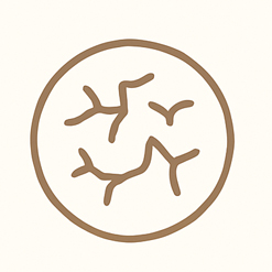 乾燥のアイコン