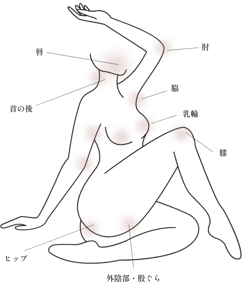 部位のアイコン