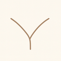 Vゾーンのアイコン